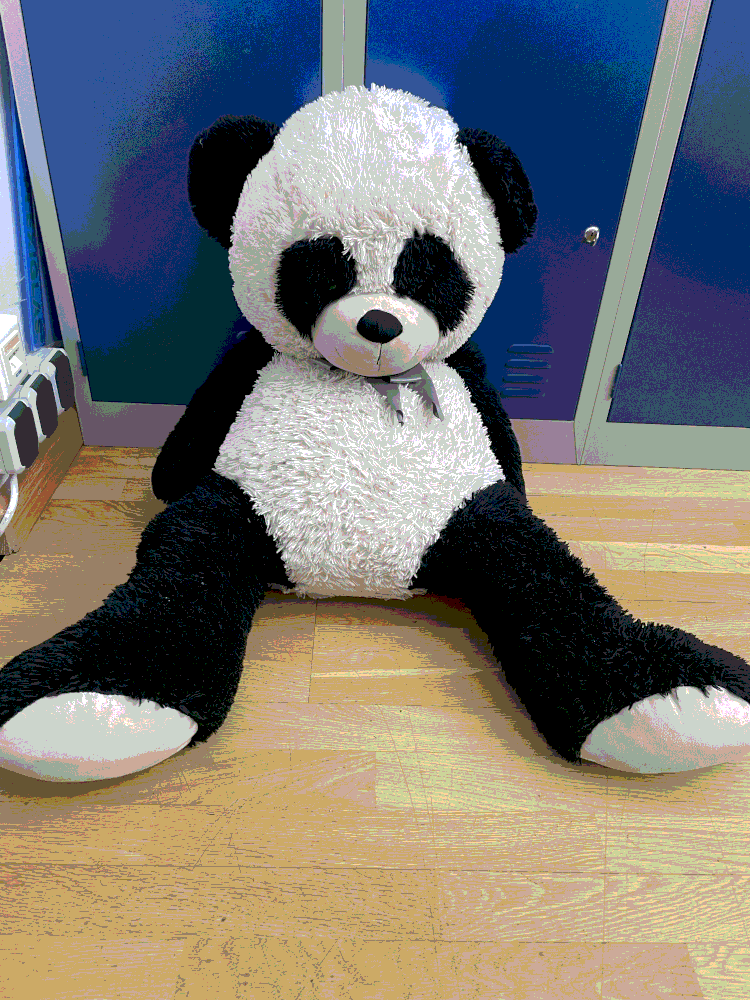 Plüsch  Pandabär